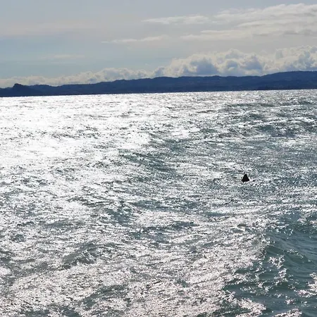 Appartement Anna Torri *