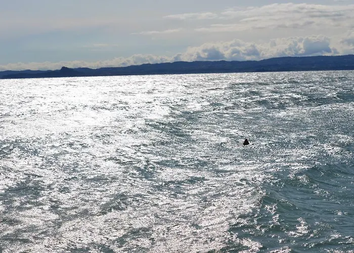 Appartement Anna Torri *